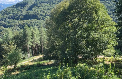 Montoulieu Cottage | Antoine's Gîte Regional Natural Park of the Ariège Pyrenees