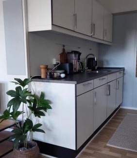 Viborg Apartment | Antonia s quality apartment 1