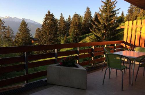 Anzere Apartment | Anzère skis - promenade