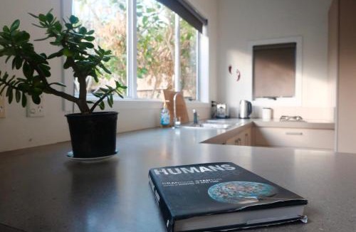 Mangawhai Heads Hotel | Aotearoa Surf Lodge