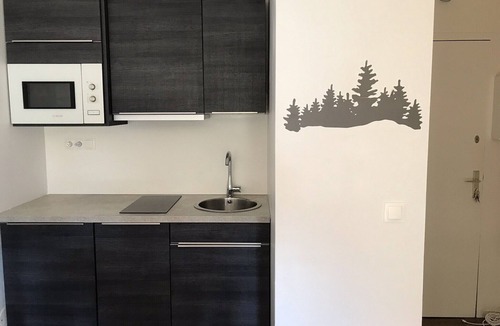 Avoriaz Apartment | Apart. 2 charming rooms "Pas du Lac"