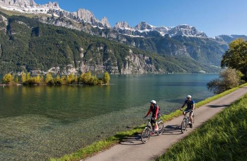 Unterterzen Apartment | Apart Holidays - Marina Walensee