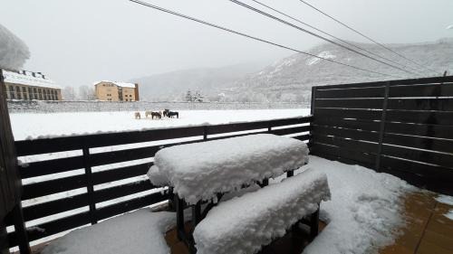 Esterri D'Aneu Apartment | Apartament amb terrassa a Esterri by RURAL D'ÀNEU