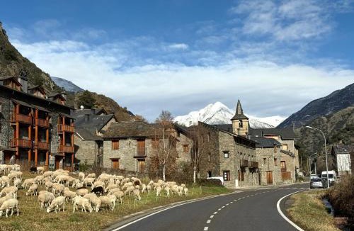 Vall de Cardos Apartment | Apartament Boet - Ainet de Cardós - L'Amfitriona