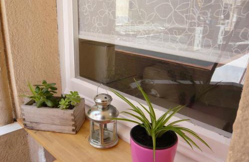 La Maternitat i Sant Ramon Apartment | Apartament Conde Güell
