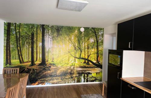 Villerupt Apartment | Apartament cozy