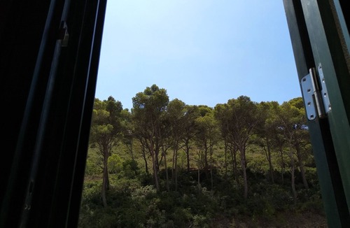 Sa Tuna Apartment | Apartament Felip