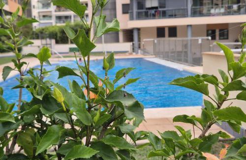 Villajoyosa Apartment | Apartamento a 2 minutos de la playa