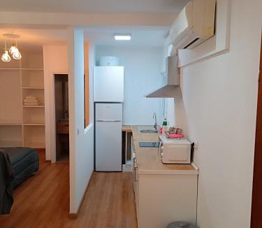 Centro Comercial Apartment | Apartamento Calle Concepción Pleno Centro