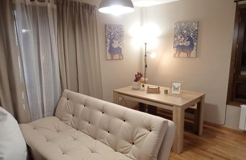 Villanua Apartment | Apartamento CIR