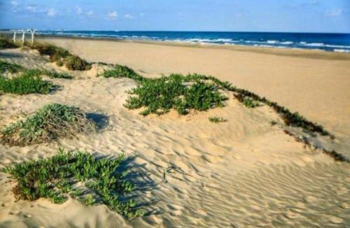 Canet de Berenguer Apartment | Apartamento con gran piscina de temporada a 200 metros de la playa