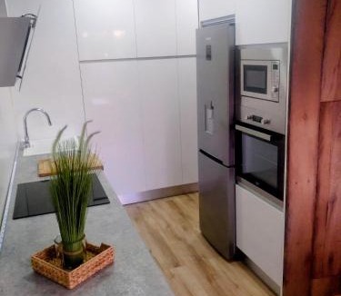 Lanciego/Lantziego Apartment | Apartamento Gaztainondoak(II)A 10min de Laguardia