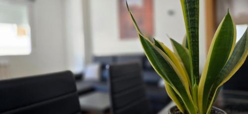 Arguedas Apartment | Apartamento Rural Mai Bardenas