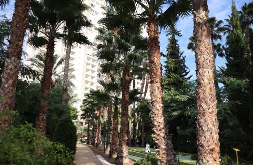 Rincon de Loix Apartment | Apartamento Torre 3 Gemelos 22 Benidorm Levante Beach