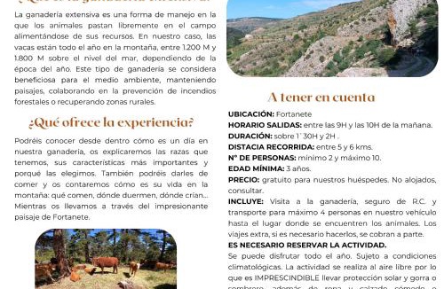 Fortanete Apartment | Apartamentos de Turismo Rural La Rocha
