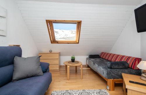 Pas de la Casa Apartment | Apartamentos Pie de Pistas MIKKA