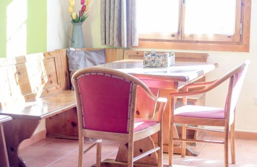 Alt Aneu Apartment | Apartaments La Bonaigua