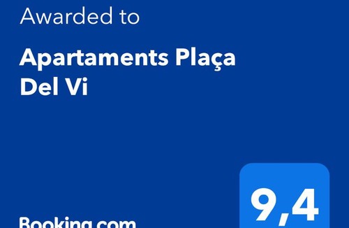 Old Town Apartment | Apartaments Plaça Del Vi