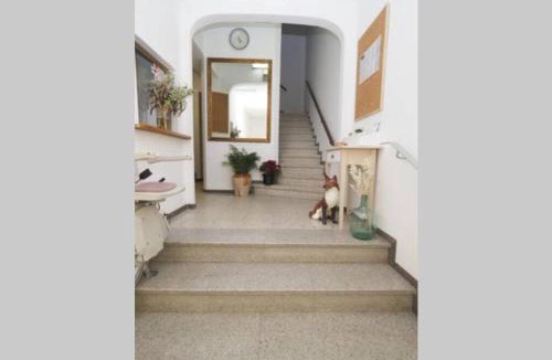 Sant Hilari Sacalm Apartment | Apartaments Sa Calm Les roques del rei