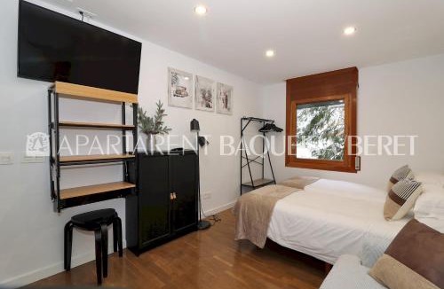 Baqueira Apartment | Apartarent 1500 - Estudio Àneu