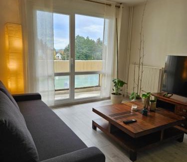 Le Creusot Apartment | Apartement T2