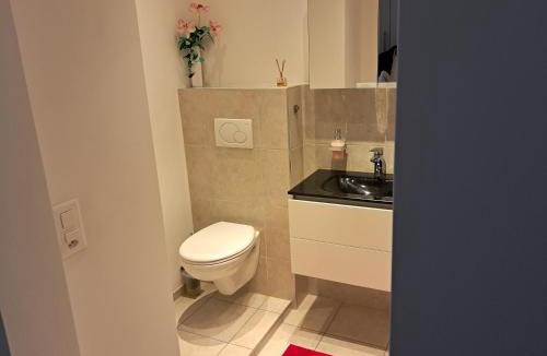 Locarno Hotel | Aparthotel Al Lago
