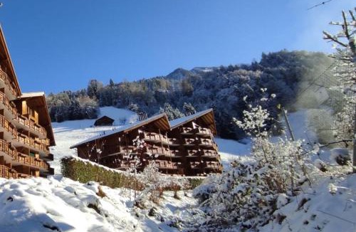 Val d'Illiez Apartment | Aparthotel Mountain River Resort