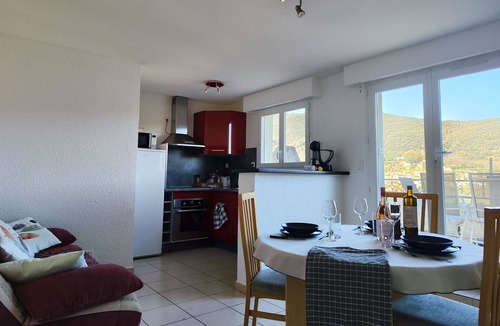 Amelie-les-Bains-Palalda Apartment | Apartment with a beautiful view of Palalda