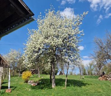 Lukovdol Apartment | apartman Luisiana