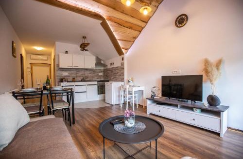 Josipdol Apartment | Apartman Mila
