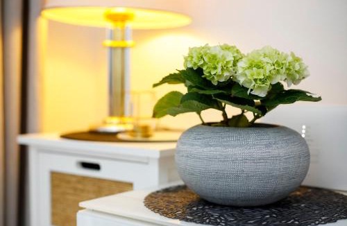 Jadreski Apartment | Apartman Monika