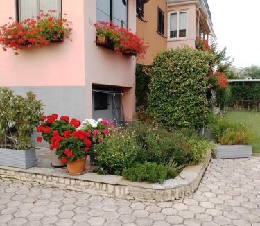 Seget Apartment | Apartman Olga