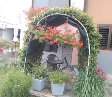 Seget Apartment | Apartman Olga