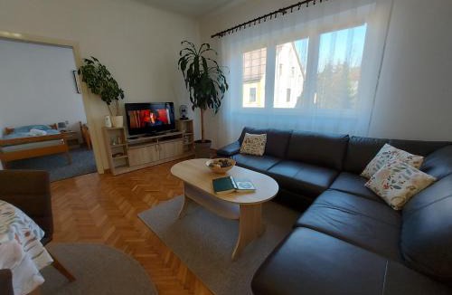 Delnice Apartment | Apartman Tinče