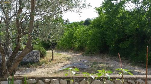 Cres Apartment | Apartmani Ana Schon