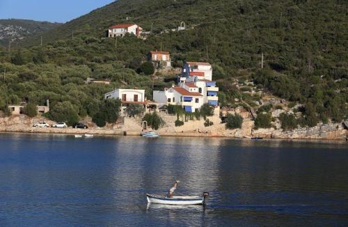 Pokrivenik Apartment | Apartmani Cico