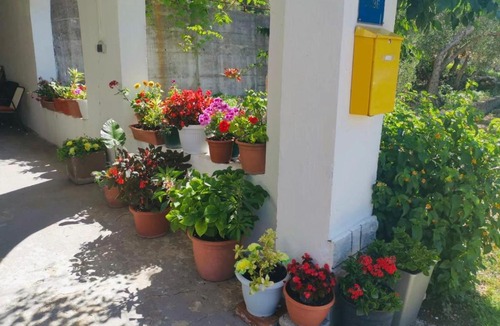 Drvenik Apartment | Apartmani Green oasis