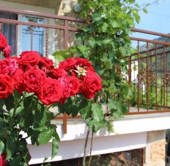 Vrisnik Apartment | Apartmani Ivanković