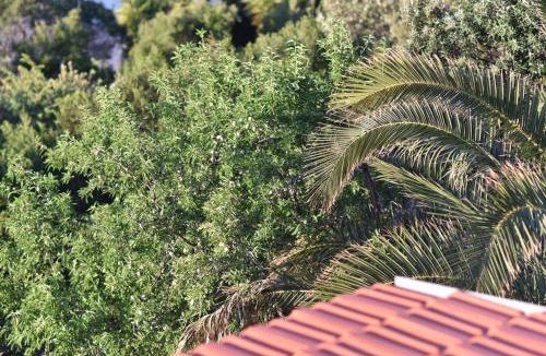 Pokrivenik Apartment | Apartmani Marko
