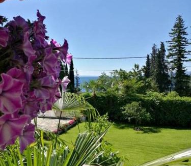 Icici Apartment | Apartmani Villa Christina