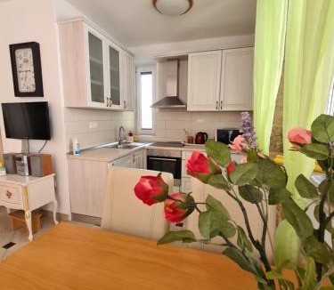 Blace Apartment | Apartmani Villa Rep