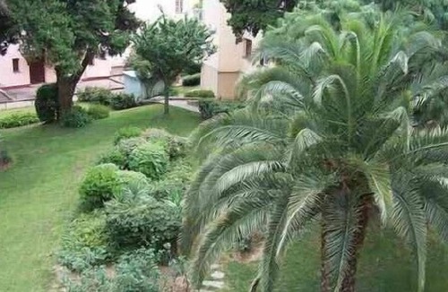 Amelie-les-Bains-Palalda Apartment | Apartment in Amelie Les Bains, very nice exposition