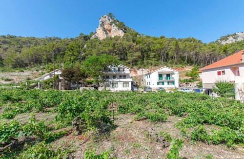 Zastrazisce Apartment | Apartments and Rooms Stjepan (31771-A3) - Zastrazisce - island Hvar