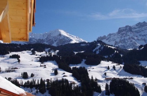 Adelboden Apartment | Apartment ∙ 1 bedroom ∙ 4 guests