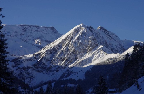 Adelboden Apartment | Apartment ∙ 1 bedroom ∙ 4 guests