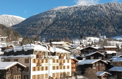 Fiesch Apartment | Apartment ∙ 1 bedroom ∙ 4 guests
