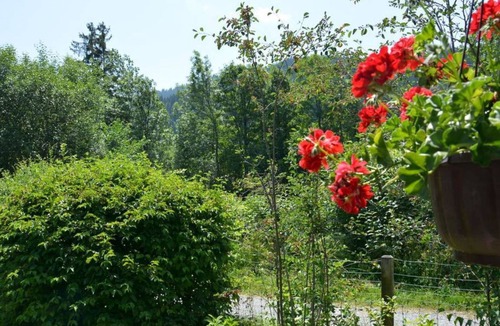 Saanen Apartment | Apartment ∙ 1 bedroom ∙ 2 guests