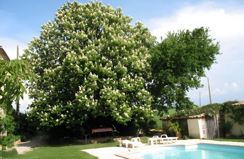 Sauzet Apartment | Apartment 1 (for 2 people)