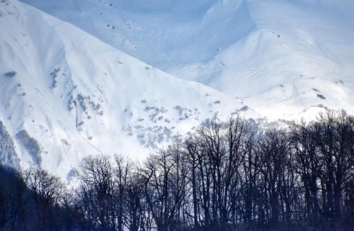 Gorki Gorod Apartment | Apartment 14 Monte Rosa