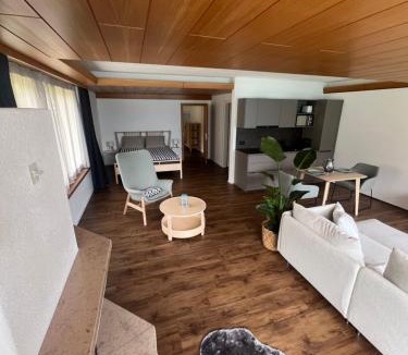 Brienz Apartment | Apartment 18 am Brienzersee